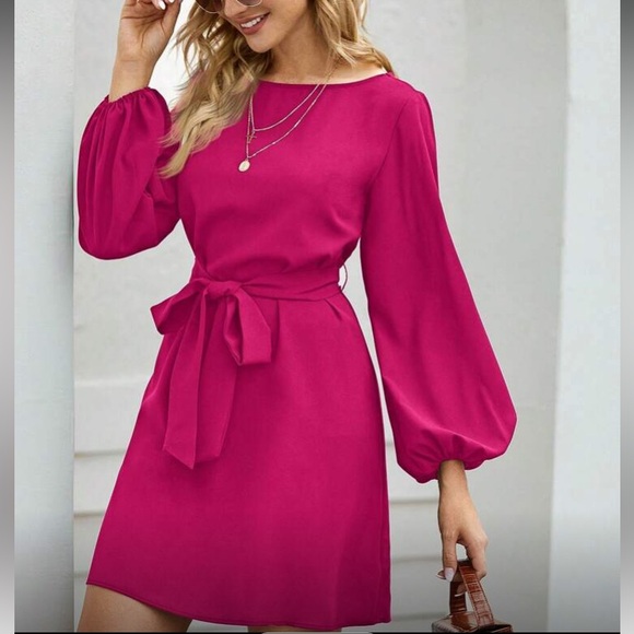 Dresses & Skirts - Rust pink lantern long sleeve mini dress Minimalist Work